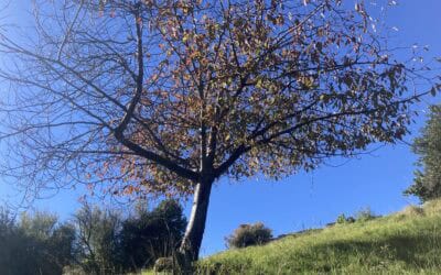 Loslassen lernen: so schaffst du es wirklich